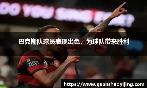 必博BIBO网址