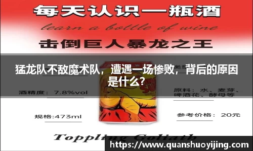 必博BIBO网址