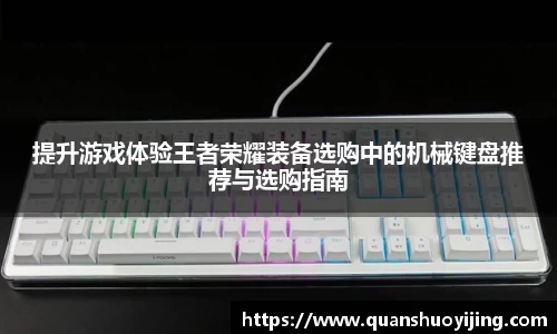 必博BIBO网址