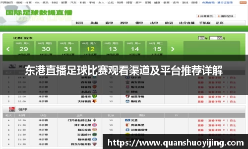 东港直播足球比赛观看渠道及平台推荐详解